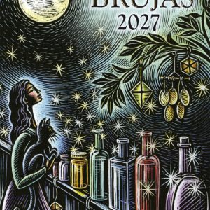 Agenda de las Brujas 2027 Llewellyn, ilustración nocturna con luna llena, mujer en balcón sosteniendo gato y frascos mágicos.