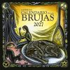 Calendario de las Brujas 2027 Llewellyn, ilustración con mujer junto a chimenea, perro durmiendo y gato en ambiente mágico.