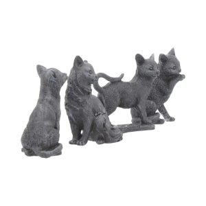 Gatitos Negros de la Suerte